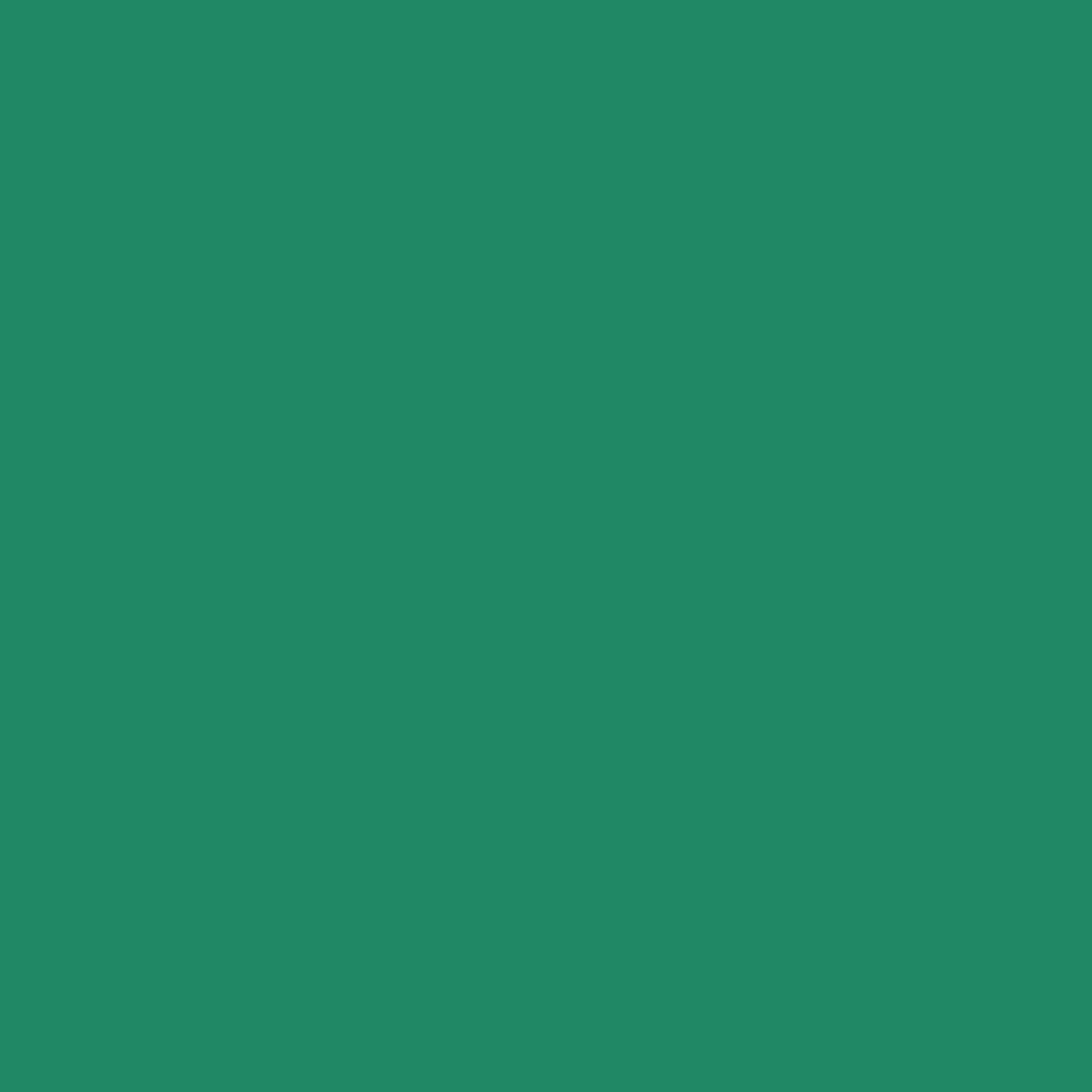 Easyweed HTV 12" x 12" Sheets