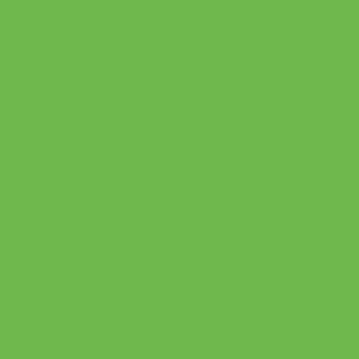 Easyweed HTV 12" x 12" Sheets