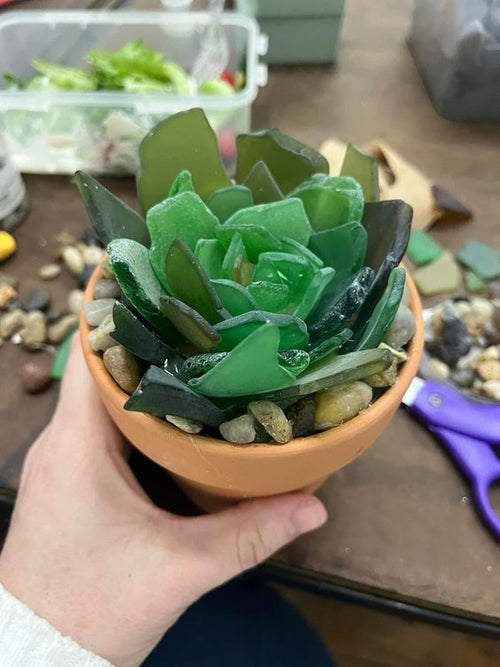 glass succulent Sea Glass Succulents – Painted Turtle Craft Co